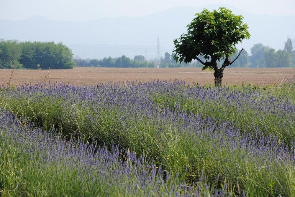 Fondo Brugarolo Βίλα Busnago Εξωτερικό φωτογραφία